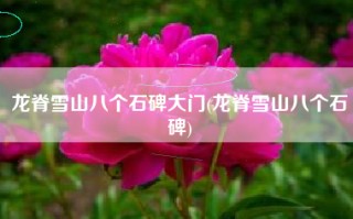 龙脊雪山八个石碑大门(龙脊雪山八个石碑)