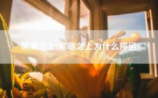 黑潮之上(黑潮之上为什么停运)