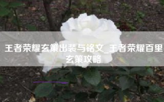 王者荣耀玄策出装与铭文_王者荣耀百里玄策攻略