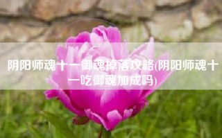 阴阳师魂十一御魂掉落攻略(阴阳师魂十一吃御魂加成吗)