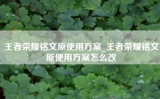 王者荣耀铭文原使用方案_王者荣耀铭文原使用方案怎么改