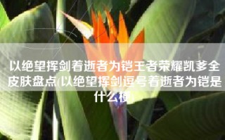 以绝望挥剑着逝者为铠王者荣耀凯爹全皮肤盘点(以绝望挥剑逗号着逝者为铠是什么梗)