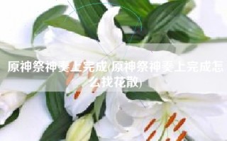原神祭神奏上完成(原神祭神奏上完成怎么找花散)