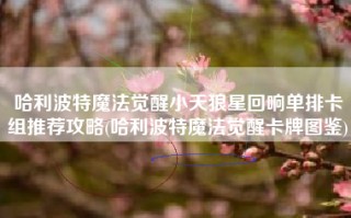 哈利波特魔法觉醒小天狼星回响单排卡组推荐攻略(哈利波特魔法觉醒卡牌图鉴)