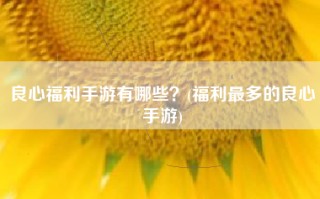 良心福利手游有哪些？(福利最多的良心手游)