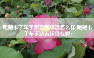 跑跑卡丁车手游吉利缤越怎么样(跑跑卡丁车手游吉祥猫在哪)