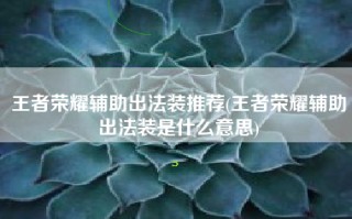 王者荣耀辅助出法装推荐(王者荣耀辅助出法装是什么意思)