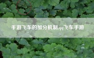 手游飞车的加分机制,qq飞车手游