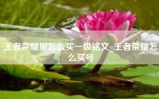 王者荣耀里怎么买一级铭文_王者荣耀怎么买号