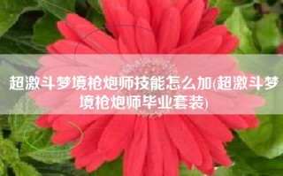 超激斗梦境枪炮师技能怎么加(超激斗梦境枪炮师毕业套装)