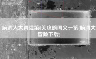 脑洞人大冒险第8关攻略图文一览(脑洞大冒险下载)