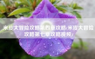 米皮大冒险攻略第四章攻略(米皮大冒险攻略第七章攻略视频)