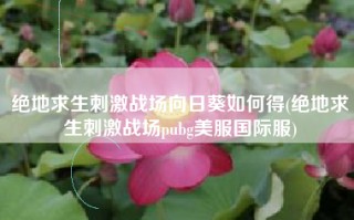 绝地求生刺激战场向日葵如何得(绝地求生刺激战场pubg美服国际服)