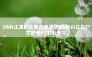 烟雨江湖护花使者支线攻略(烟雨江湖护花使者问不出天气)
