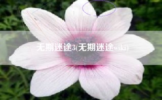无期迷途3(无期迷途wiki)