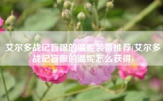 艾尔多战记盲眼的温妮装备推荐(艾尔多战记盲眼的温妮怎么获得)