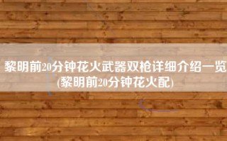 黎明前20分钟花火武器双枪详细介绍一览(黎明前20分钟花火配)