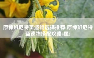原神班尼特圣遗物选择推荐(原神班尼特圣遗物搭配攻略4星)
