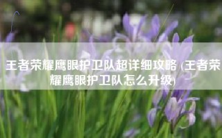 王者荣耀鹰眼护卫队超详细攻略 (王者荣耀鹰眼护卫队怎么升级)