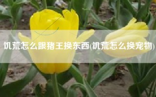 饥荒怎么跟猪王换东西(饥荒怎么换宠物)