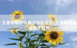 王者荣耀野核猴子出装铭文_王者荣耀谁克猴子打野