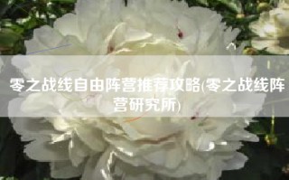零之战线自由阵营推荐攻略(零之战线阵营研究所)