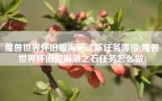 魔兽世界怀旧服海狮试炼任务哪接(魔兽世界怀旧服海潮之石任务怎么做)