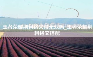 王者荣耀荆轲铭文带无双吗_王者荣耀荆轲铭文搭配
