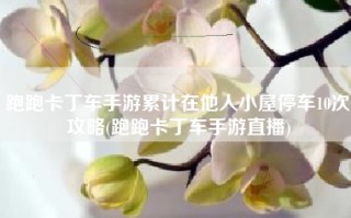 跑跑卡丁车手游累计在他人小屋停车10次攻略(跑跑卡丁车手游直播)