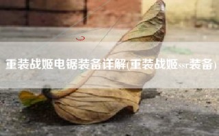 重装战姬电锯装备详解(重装战姬ssr装备)