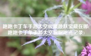 跑跑卡丁车手游太空极限跳跃宝藏在哪(跑跑卡丁车手游太空蜿蜒跑道记录)