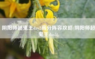 阴阳师超鬼王day2高分阵容攻略(阴阳师超鬼王day5)
