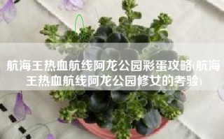 航海王热血航线阿龙公园彩蛋攻略(航海王热血航线阿龙公园修女的考验)