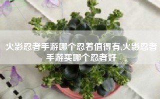 火影忍者手游哪个忍着值得有,火影忍者手游买哪个忍者好