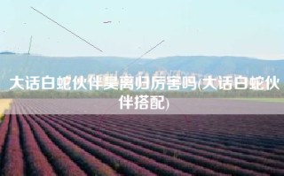 大话白蛇伙伴昊离归厉害吗(大话白蛇伙伴搭配)