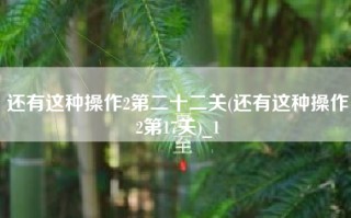 还有这种操作2第二十二关(还有这种操作2第17关)_1