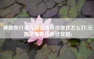 神都夜行录元宵试炼昼出夜伏怎么打(元宵试炼昼出夜伏攻略)