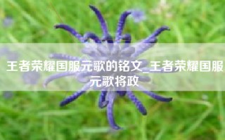 王者荣耀国服元歌的铭文_王者荣耀国服元歌将政