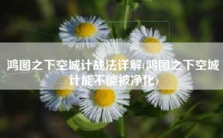 鸿图之下空城计战法详解(鸿图之下空城计能不能被净化)