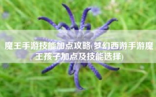 魔王手游技能加点攻略(梦幻西游手游魔王孩子加点及技能选择)