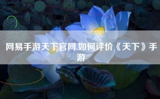 网易手游天下官网,如何评价《天下》手游