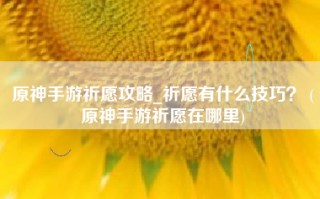 原神手游祈愿攻略_祈愿有什么技巧？ (原神手游祈愿在哪里)