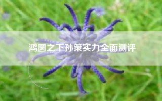 鸿图之下孙策实力全面测评