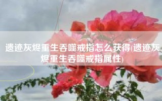 遗迹灰烬重生吞噬戒指怎么获得(遗迹灰烬重生吞噬戒指属性)