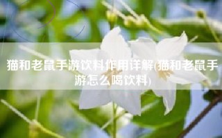 猫和老鼠手游饮料作用详解(猫和老鼠手游怎么喝饮料)