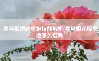 赛马娘婚纱重炮技能解析(赛马娘花嫁重炮怎么培养)