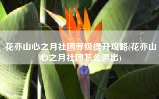花亦山心之月社团等级提升攻略(花亦山心之月社团怎么退出)