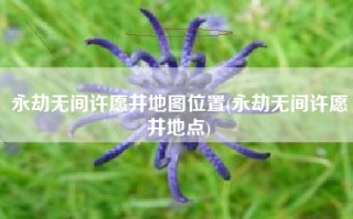 永劫无间许愿井地图位置(永劫无间许愿井地点)