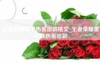 王者荣耀墨子伤害出装铭文_王者荣耀墨子高伤害出装