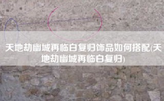 天地劫幽城再临白复归饰品如何搭配(天地劫幽城再临白复归)